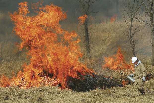 Prairie burn